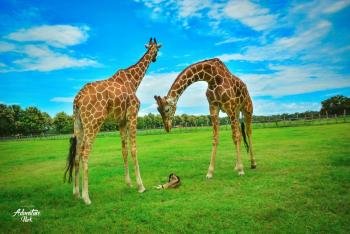 Full day adventure with Safari tour, Guanacaste, Costa Rica photo